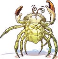 Sea Crab