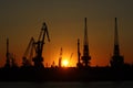 Sea cranes on sunset in harbor Royalty Free Stock Photo