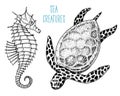 Sea creature cheloniidae or green turtle and seahorse. engraved hand drawn in old sketch, vintage style. nautical or