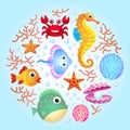 Sea creatures background 2 Royalty Free Stock Photo
