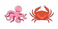 Sea creatures ilustration. Crab and octopus isolated on white background. Royalty Free Stock Photo