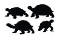 Sea creatures and reptiles like turtles, silhouettes on a white background. Tortoise full body silhouette collection. Wild turtle Royalty Free Stock Photo