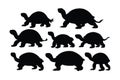 Sea creatures and reptiles like turtles swimming in different positions. Tortoise full body silhouette collection. Wild turtle Royalty Free Stock Photo