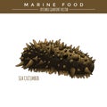 Sea Cucumber. Marine Food Royalty Free Stock Photo