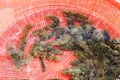 Sea cucumbers (echinoderms) for sale at fish market, South Korea