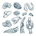 Sea delicacies. Lobster, eel, scallops, caviar, isolated sketches on white background