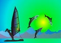 Sea, dolphins and windsurfer Royalty Free Stock Photo