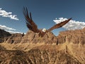 Sea eagle over a mountain landscape