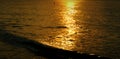 Sea evening sunlight reflecting surface is golden. Royalty Free Stock Photo