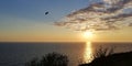 Sea evening sunset landscape. Unusual white clouds reaching the wedge. Ahead is the silhouette of a flying bird. Background Royalty Free Stock Photo