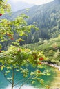 Sea Eye lake in Poland. Landscape of nature.