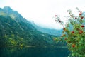 Sea Eye lake in Poland. Landscape of nature.