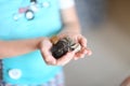 Sea findings in the little hands