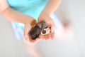 Sea findings in the little hands