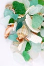 Sea finds. Sea glass and shells