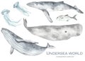 Sea fish, blue whale, humpback whale, sperm whale, jellyfish watercolor set underwater world