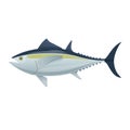 Sea fish. Colorful fish of sea tuna. Fish, eating, menu.