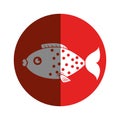 Sea fish emblem icon