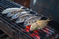 Sea fish on grill. Grilled seafood dinner cooking photo. Healthy fresh food. Nutritional diet dish. Sea fish barbecue