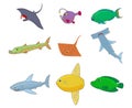 Sea fish icon set, cartoon style Royalty Free Stock Photo