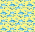 Sea fish illustration. Royalty Free Stock Photo