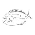 Sea fish in linear. Children drawing for coloring. Vector on white