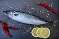 Sea fish mackerel lies on a black stone board with spices. Royalty Free Stock Photo