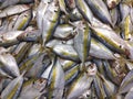 Sea fish in the market. yellow trout Atule mate, Selaroides leptolepis