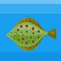 Sea fish plaice on the blue background