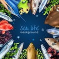 Sea Fish Realistic Frame