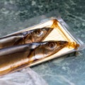 Sea fish saury in vacuum packaging