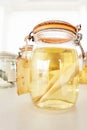 Sea fish specimens preserved in glass jars Royalty Free Stock Photo