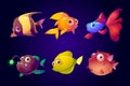 Sea fish, tropical colorful aquarium creatures set Royalty Free Stock Photo