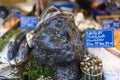 Sea fishes and other seafood on display at Borough Market