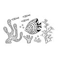 Sea floor, underwater world. Fish, seaweed, corals, on a white background. Hand drawing vector drawing