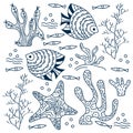 Sea floor, underwater world. Fish and seaweed on a white background. Hand drawing vector