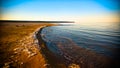 Sea foam at the beach of the Aral Sea near Aktumsuk cape at sunset, Karakalpakstan, Uzbekistan