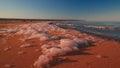 Sea foam at the beach of the Aral Sea near Aktumsuk cape at sunset, Karakalpakstan, Uzbekistan