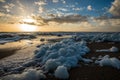Sea foam on the beach at sunset