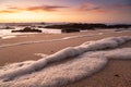 Sea foam on beach at sunset. Low angle, close up Royalty Free Stock Photo