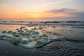 Sea foam on the beach during sunset Royalty Free Stock Photo
