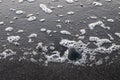 Sea foam on black sand Royalty Free Stock Photo