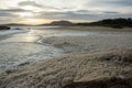 Sea foam created from recent flood waters