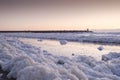 Sea foam, a habitat for marine microorganisms such as zooplankton, phytoplankton, algae, and protozoans. On coastal beach at Royalty Free Stock Photo