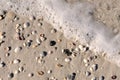Sea foam and shells Royalty Free Stock Photo