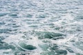 Sea foam and waves of the Pacific Ocean on the California Coast. Abstract, useful for backgrounds Royalty Free Stock Photo