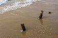 Sea foamy waves near the wooden pillars of the old ruined embankment protrude from the yellow sand Royalty Free Stock Photo