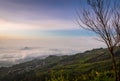 Sea of fog over mountain at sunrise Royalty Free Stock Photo