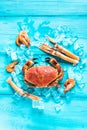 Sea food background from above Royalty Free Stock Photo