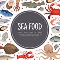 Sea food banner. Flounder, mussel, mackerel, lobster, oyster, octopus sea creatures for restaurant menu, flyer, card